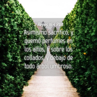 Picture 04 - 2 Reyes 16:4 RVA - Asimismo sacrificó, y quemó perfumes en los - Bible Verse Picture