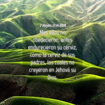Picture 04 - 2 Reyes 17:14 RVA - Mas ellos no obedecieron, antes endurecieron su - Bible Verse Picture