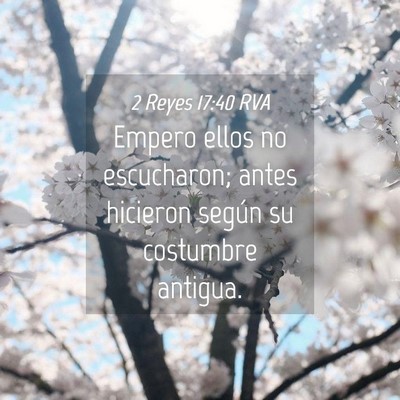 Picture 04 - 2 Reyes 17:40 RVA - Empero ellos no escucharon; antes hicieron según - Bible Verse Picture