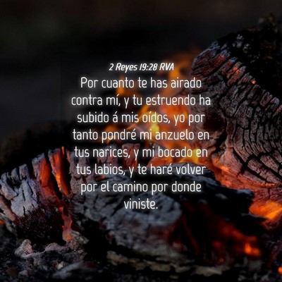 Picture 04 - 2 Reyes 19:28 RVA - Por cuanto te has airado contra mí, y tu - Bible Verse Picture