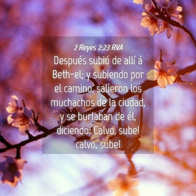 Picture 04 - 2 Reyes 2:23 RVA - Después subió de allí á Beth-el; y subiendo - Bible Verse Picture
