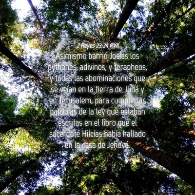 Picture 04 - 2 Reyes 23:24 RVA - Asimismo barrió Josías los pythones, adivinos, - Bible Verse Picture