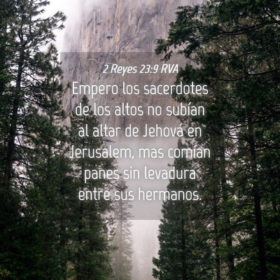 Picture 04 - 2 Reyes 23:9 RVA - Empero los sacerdotes de los altos no subían al - Bible Verse Picture