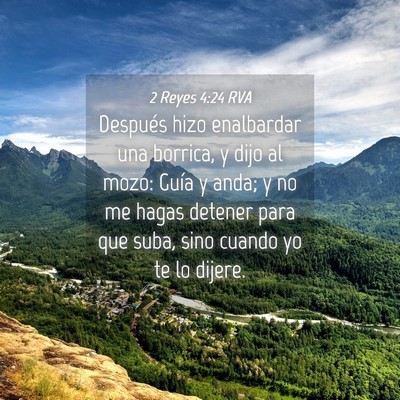Picture 04 - 2 Reyes 4:24 RVA - Después hizo enalbardar una borrica, y dijo al - Bible Verse Picture