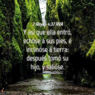 Picture 04 - 2 Reyes 4:37 RVA - Y así que ella entró, echóse á sus pies, é - Bible Verse Picture