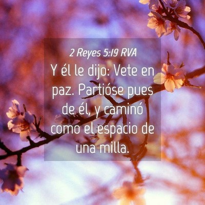Picture 04 - 2 Reyes 5:19 RVA - Y él le dijo: Vete en paz. Partióse pues de - Bible Verse Picture
