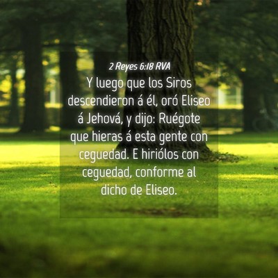Picture 04 - 2 Reyes 6:18 RVA - Y luego que los Siros descendieron á él, oró - Bible Verse Picture