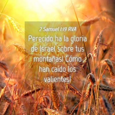Picture 04 - 2 Samuel 1:19 RVA - Perecido ha la gloria de Israel sobre tus - Bible Verse Picture