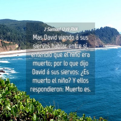Picture 04 - 2 Samuel 12:19 RVA - Mas David viendo á sus siervos hablar entre sí, - Bible Verse Picture