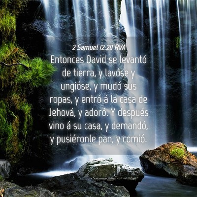 Picture 04 - 2 Samuel 12:20 RVA - Entonces David se levantó de tierra, y lavóse y - Bible Verse Picture