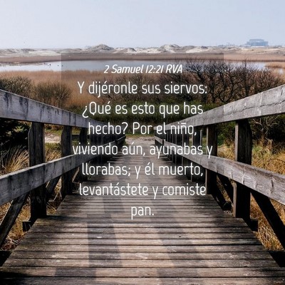 Picture 04 - 2 Samuel 12:21 RVA - Y dijéronle sus siervos: ¿Qué es esto que has - Bible Verse Picture