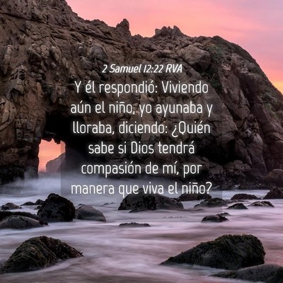 Picture 04 - 2 Samuel 12:22 RVA - Y él respondió: Viviendo aún el niño, yo - Bible Verse Picture