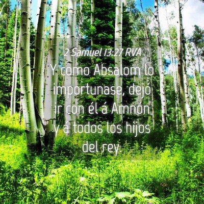 Picture 04 - 2 Samuel 13:27 RVA - Y como Absalom lo importunase, dejó ir con él - Bible Verse Picture