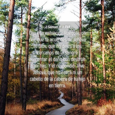 Picture 04 - 2 Samuel 14:11 RVA - Dijo ella entonces: Ruégote, oh rey, que te - Bible Verse Picture