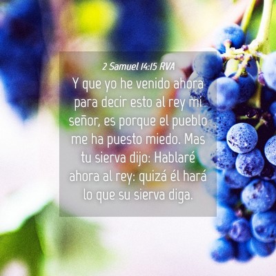 Picture 04 - 2 Samuel 14:15 RVA - Y que yo he venido ahora para decir esto al rey - Bible Verse Picture