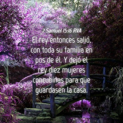 Picture 04 - 2 Samuel 15:16 RVA - El rey entonces salió, con toda su familia en - Bible Verse Picture