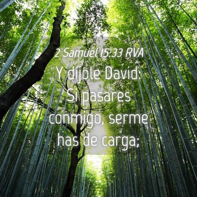 Picture 04 - 2 Samuel 15:33 RVA - Y díjole David: Si pasares conmigo, serme has de - Bible Verse Picture