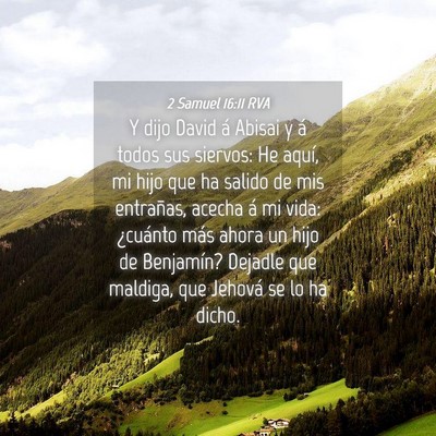 Picture 04 - 2 Samuel 16:11 RVA - Y dijo David á Abisai y á todos sus siervos: He - Bible Verse Picture