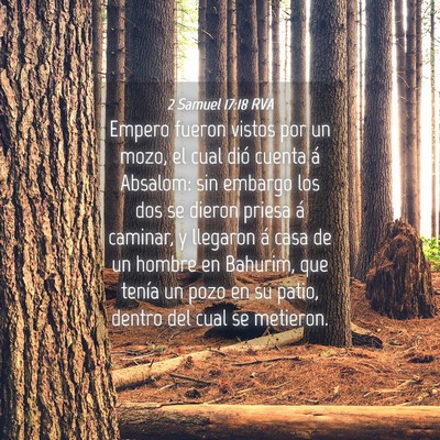 Picture 04 - 2 Samuel 17:18 RVA - Empero fueron vistos por un mozo, el cual dió - Bible Verse Picture
