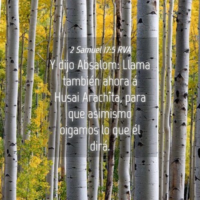 Picture 04 - 2 Samuel 17:5 RVA - Y dijo Absalom: Llama también ahora á Husai - Bible Verse Picture