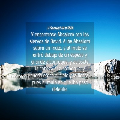 Picture 04 - 2 Samuel 18:9 RVA - Y encontróse Absalom con los siervos de David: - Bible Verse Picture