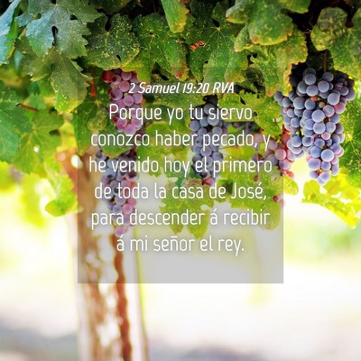 Picture 04 - 2 Samuel 19:20 RVA - Porque yo tu siervo conozco haber pecado, y he - Bible Verse Picture