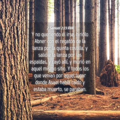 Picture 04 - 2 Samuel 2:23 RVA - Y no queriendo él irse, hiriólo Abner con el - Bible Verse Picture