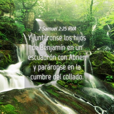 Picture 04 - 2 Samuel 2:25 RVA - Y juntáronse los hijos de Benjamín en un - Bible Verse Picture