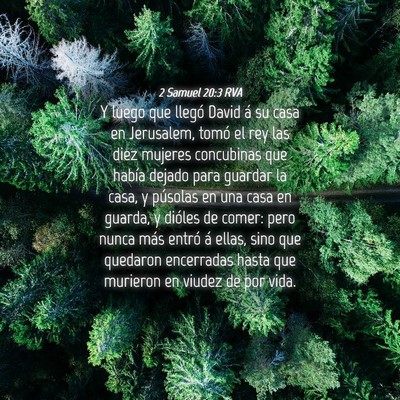 Picture 04 - 2 Samuel 20:3 RVA - Y luego que llegó David á su casa en Jerusalem, - Bible Verse Picture
