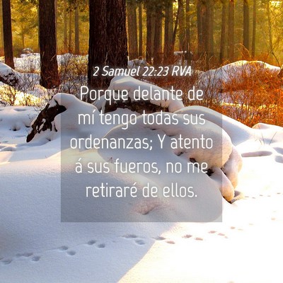 Picture 04 - 2 Samuel 22:23 RVA - Porque delante de mí tengo todas sus ordenanzas; - Bible Verse Picture