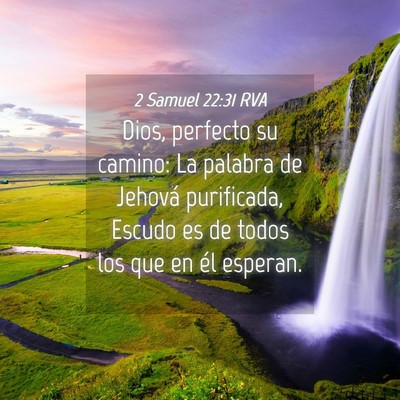 Picture 04 - 2 Samuel 22:31 RVA - Dios, perfecto su camino: La palabra de Jehová - Bible Verse Picture