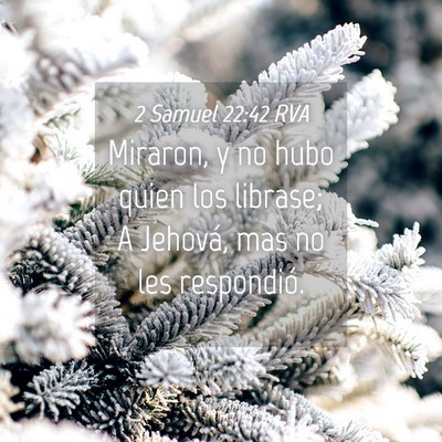 Picture 04 - 2 Samuel 22:42 RVA - Miraron, y no hubo quien los librase; A Jehová, - Bible Verse Picture