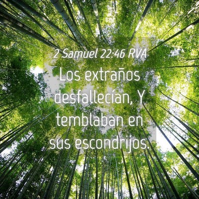 Picture 04 - 2 Samuel 22:46 RVA - Los extraños desfallecían, Y temblaban en sus - Bible Verse Picture