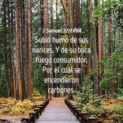 Picture 04 - 2 Samuel 22:9 RVA - Subió humo de sus narices, Y de su boca fuego - Bible Verse Picture