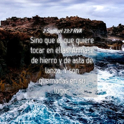 Picture 04 - 2 Samuel 23:7 RVA - Sino que el que quiere tocar en ellas, Armase de - Bible Verse Picture
