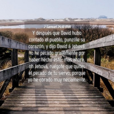 Picture 04 - 2 Samuel 24:10 RVA - Y después que David hubo contado el pueblo, - Bible Verse Picture