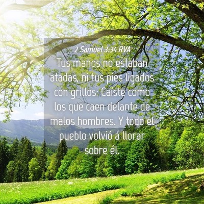 Picture 04 - 2 Samuel 3:34 RVA - Tus manos no estaban atadas, ni tus pies ligados - Bible Verse Picture