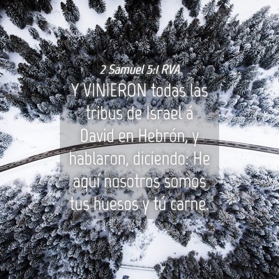 Picture 04 - 2 Samuel 5:1 RVA - Y VINIERON todas las tribus de Israel á David en - Bible Verse Picture