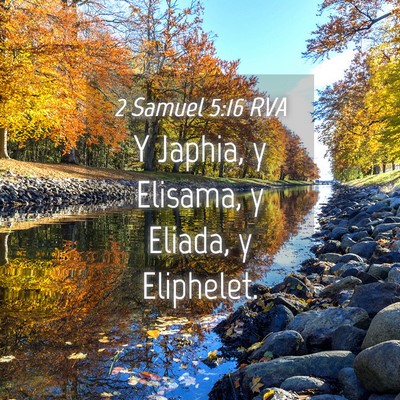 Picture 04 - 2 Samuel 5:16 RVA - Y Japhia, y Elisama, y Eliada, y - Bible Verse Picture