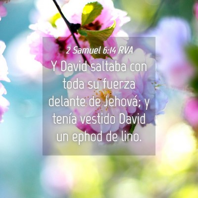 Picture 04 - 2 Samuel 6:14 RVA - Y David saltaba con toda su fuerza delante de - Bible Verse Picture