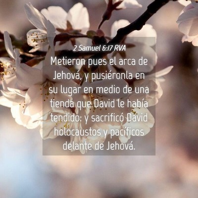 Picture 04 - 2 Samuel 6:17 RVA - Metieron pues el arca de Jehová, y pusiéronla - Bible Verse Picture