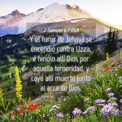 Picture 04 - 2 Samuel 6:7 RVA - Y el furor de Jehová se encendió contra Uzza, - Bible Verse Picture