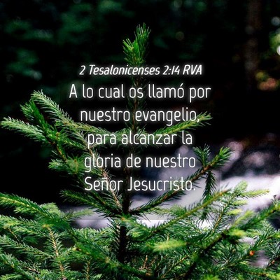 Picture 04 - 2 Tesalonicenses 2:14 RVA - A lo cual os llamó por nuestro evangelio, para - Bible Verse Picture