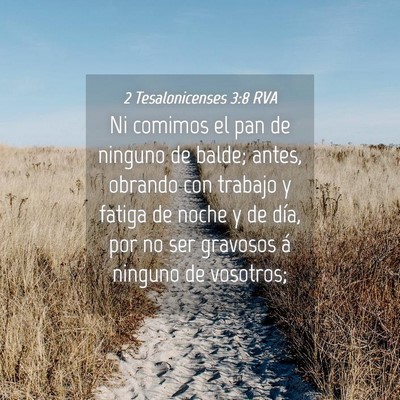 Picture 04 - 2 Tesalonicenses 3:8 RVA - Ni comimos el pan de ninguno de balde; antes, - Bible Verse Picture
