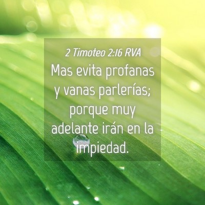 Picture 04 - 2 Timoteo 2:16 RVA - Mas evita profanas y vanas parlerías; porque muy - Bible Verse Picture