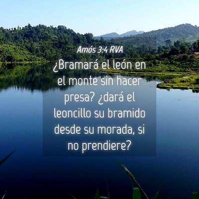 Picture 04 - Amós 3:4 RVA - ¿Bramará el león en el monte sin hacer presa? - Bible Verse Picture