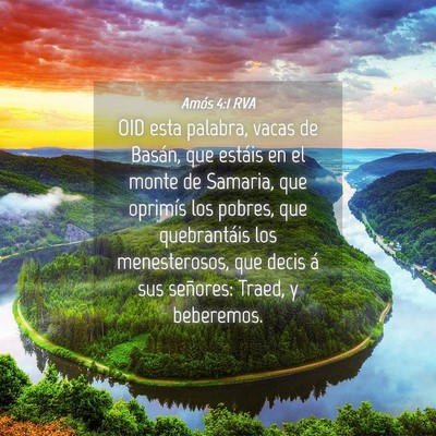 Picture 04 - Amós 4:1 RVA - OID esta palabra, vacas de Basán, que estáis en - Bible Verse Picture