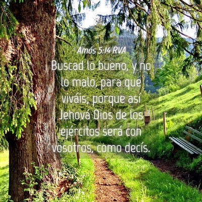 Picture 04 - Amós 5:14 RVA - Buscad lo bueno, y no lo malo, para que viváis; - Bible Verse Picture