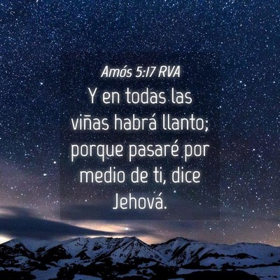Picture 04 - Amós 5:17 RVA - Y en todas las viñas habrá llanto; porque - Bible Verse Picture