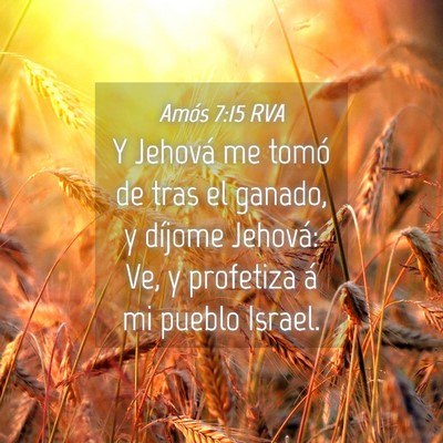 Picture 04 - Amós 7:15 RVA - Y Jehová me tomó de tras el ganado, y díjome - Bible Verse Picture